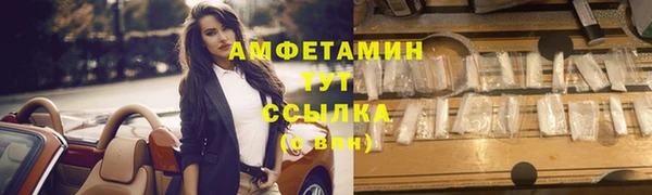 ПСИЛОЦИБИНОВЫЕ ГРИБЫ Алексин