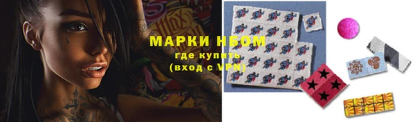ПСИЛОЦИБИНОВЫЕ ГРИБЫ Алексин