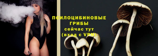 ПСИЛОЦИБИНОВЫЕ ГРИБЫ Алексин