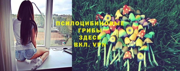 ПСИЛОЦИБИНОВЫЕ ГРИБЫ Алексин