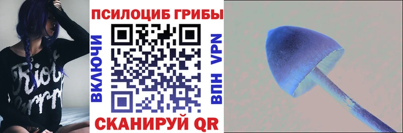 Псилоцибиновые грибы мухоморы  купить наркотики сайты  Ипатово 